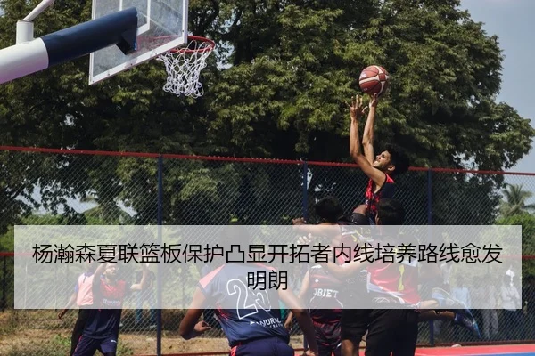 杨瀚森夏联篮板保护凸显开拓者内线培养路线愈发明朗