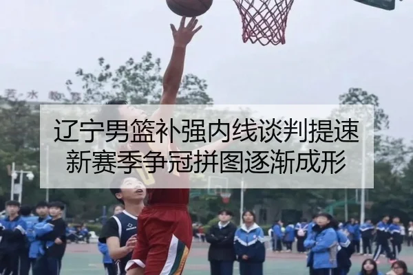 辽宁男篮补强内线谈判提速 新赛季争冠拼图逐渐成形